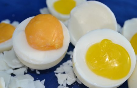 SOS! Süni yumurta hazırlanır - Azərbaycana da gətirilə bilər (Video)