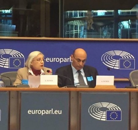 Leyla Yunus 160 nəfərlik siyasi məhbus siyahısını Avropa Parlamentində təqdim edib