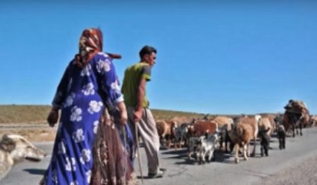 Fars vilayətində türklərlə bağlı veriliş... - Video