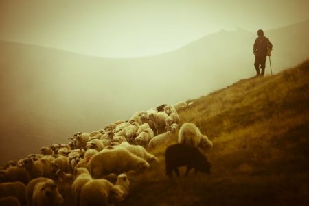 Səsi ilə internetdə məşhurlaşan çoban imtahan verdi - VİDEO