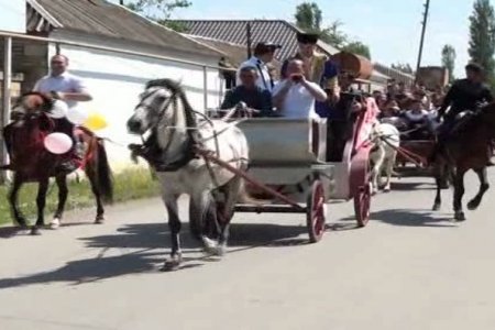 Qeyri-adi toy karvanı: Atlar və bəzədilmiş arabalar... VİDEO